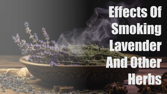Effects Of Smoking Lavender And Other Herbs